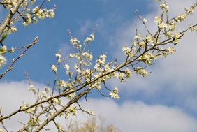 Der Frühling ist da und die Osterferien nahen... Foto: Der Frühling ist da und die Osterferien nahen...